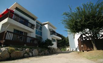 Biggest Tree Pension Yangpyeong