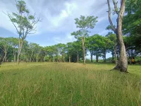 Pantai Alfath Stira ParADIse Hotel di Kabupaten Pinrang