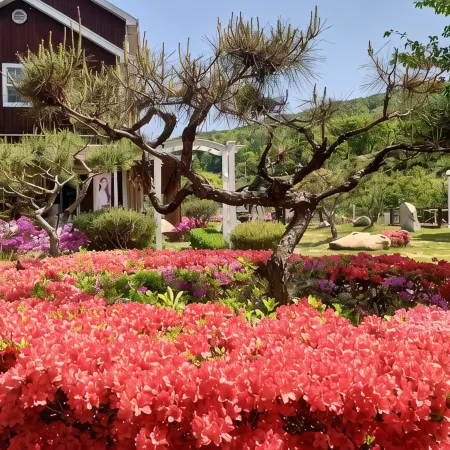 Mungyeong Verce Pension
