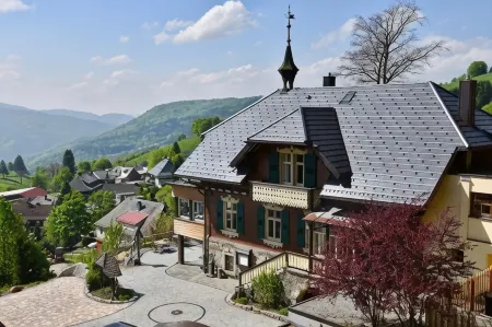 Hotel & Chalets Herrihof Отели в г. Тодтнау