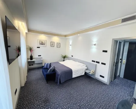 Hotel Michelangelo Hotels in Biella