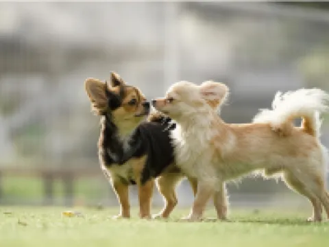 ニュービジネスホテル アルファー 倉吉のホテル