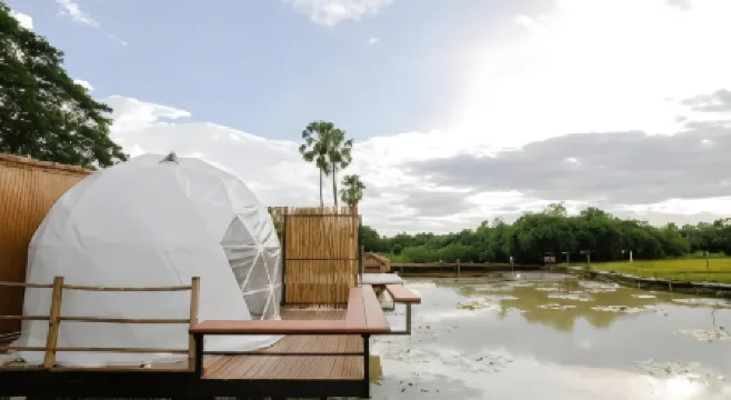 Nornnadubua Nornnadubua