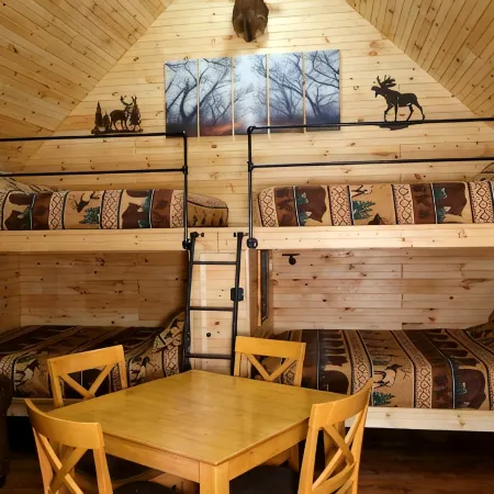 Cozy cabin located in Brasher Falls, NY. Pet friendly!