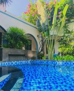 Tropical Homestay Phu Yen