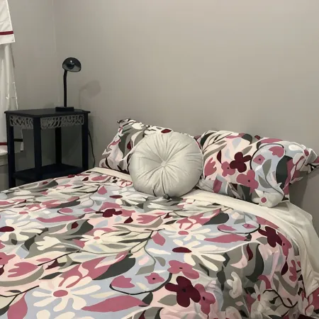 Spacious, serene, lovely, centrally located 2-bedroom home in Salem - sleeps 4