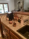 Charming 2-Bedroom House in Perfect Nashville! Close to the Heart of Nashville