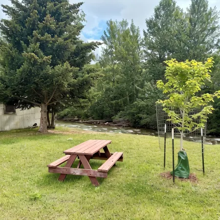 The Spruce House on Rock Creek- Hot Tub, 2 Kings, 2 Queens/ 2 bath, Fenced Yard