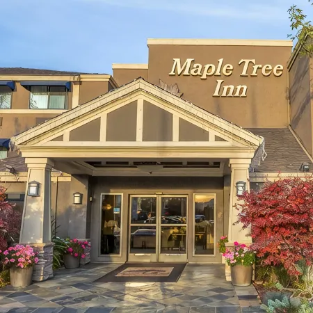 Maple Tree Inn