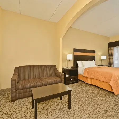 Comfort Inn & Suites at Stone Mountain