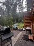 Charming cabin with WiFi in Silver Gate/Cooke City - Chalets
