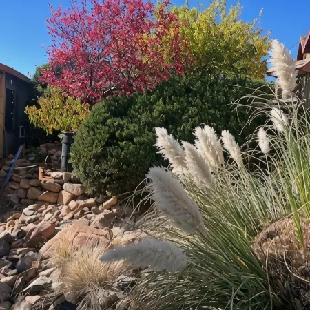 Beautiful cabin retreat with gorgeous views! Pet friendly with wide open spaces.