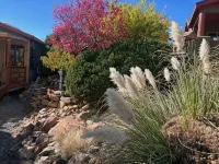 Beautiful cabin retreat with gorgeous views! Pet friendly with wide open spaces. - Hytter