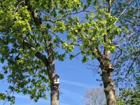 Maison Avec Jardin en Campagne à 5 min du Centre-ville et à 15 min des Plages - 무료 와이파이