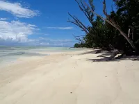 HCS Bungalows, Turtle Bay Rustic Bungalow with garden, Flat #3 - 民宿