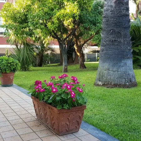 Marigrè: A Beautiful Beach House with a Solarium, Wooden Walkway, Sun Deck, and Garden.