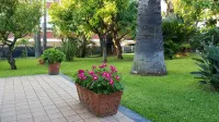 Marigré Beautiful House Sun, Sea with Solarium Wooden Walkway, Terrace&Garden.