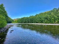 Cozy 2-bedroom, river access, near Smoke Hole, Seneca Rocks & Dolly Sods Hotels in Union