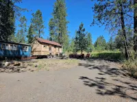 Black Bear Bungalow:Cozy tiny home in enchanting wooded Spokane with AC - Bungalows