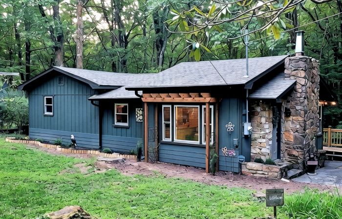 Get Cozy & take in the beauty of Groundhog Mountain @ the Cozy Doe!