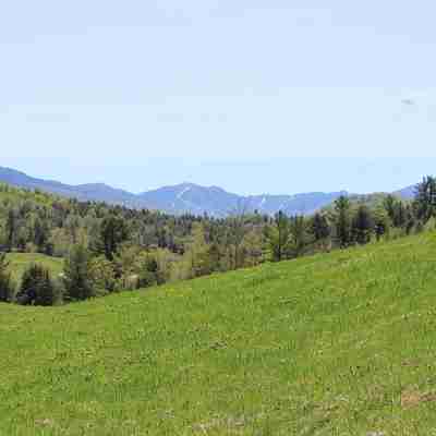 Black Creek's Maple Nature Escape Others