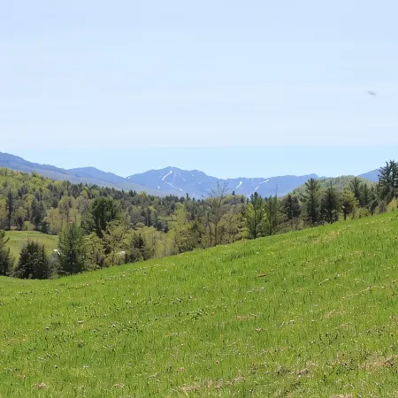 Black Creek's Maple Nature Escape