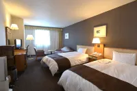 Blossom Hotel Hirosaki Hôtels à : 