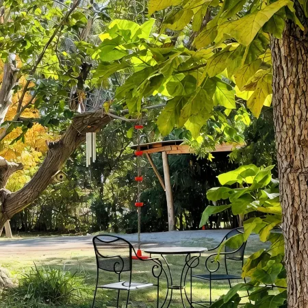 Cottage Casita on an Orchard. No parties nor gatherings.