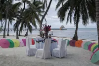 Luxury 250' long Beachfront-Pool,Horse Fountain, Snorkeling, Volleyball & Chef! - Villas