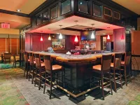 Holiday Inn Toronto International Airport by IHG - bar
