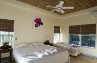 Casa Marazul - Beachfront House With Gorgeous Pool and Huge Rancho - 3 Sao