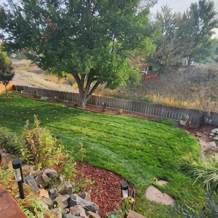 Cozy walkout basement in fantastic Centennial area with WiFi, AC
