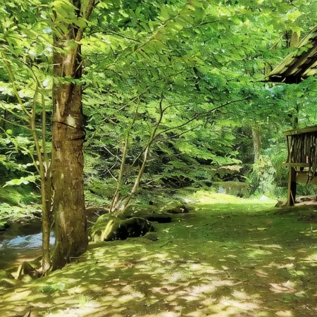 Private Creekside Cabin • Waterfall • Hot Tub • Lake Access