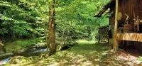 Private Creekside Cabin • Waterfall • Hot Tub • Lake Access - Alppimaja