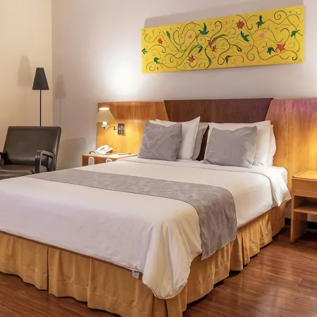Dexter Hotel - Volta Redonda