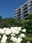 Carpe Diem - Apartment near the beach with swimming pool - Wi-Fi
