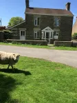 Peaceful, Cosy Cottage in the  Forest of Dean Overlooking Common Land. - Wifi