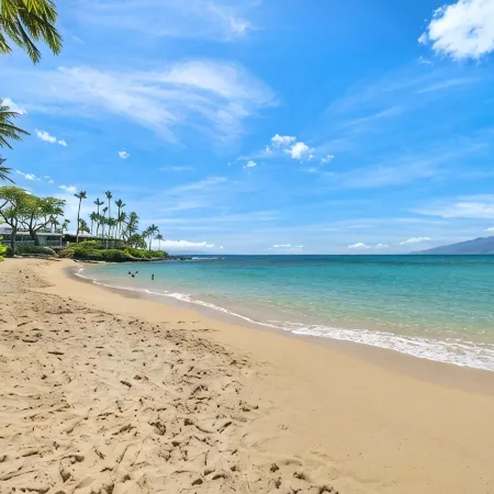 Celebrity Home Across the Street From Beach! Pool With Slide, Pickleball, Gym!