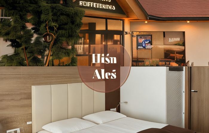 Hiša Aleš