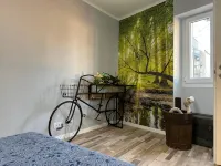 Lucia's Wood House