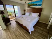 Luana Moana Signature Oceanfront Maui-Ocean&Haleakala Views-FreeWiFi-A/C-Romance