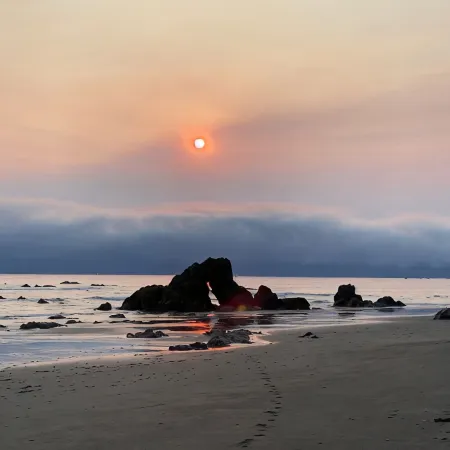 Pets welcome. Great Ocean View .  Remodeled Kitchen. Fire Pit. BBQ<br>Free WiFi.