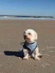 Flagler Beach Island Time Condo unit 3 - 3-Star