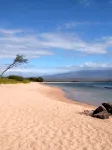 OCEANFRONT - TWO OCEANVIEW  bedrooms - 20 feet from water - Kanai a Nalu 401 - Bintang 4