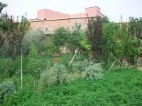 Mogador Guest House Chez Habitants