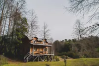 Huilo Huilo Cabañas del Bosque Hotels in 
