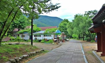 Goesan Geumseong Pension
