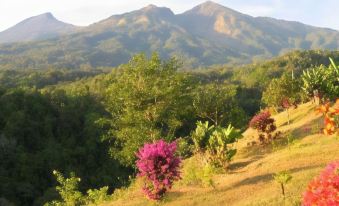 Pondok Senaru Cottages