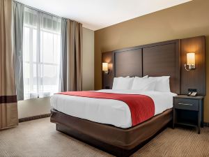 Comfort Inn & Suites Millbrook-Prattville