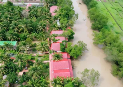 Nghenh Xuan Farm - WellSpring Farm